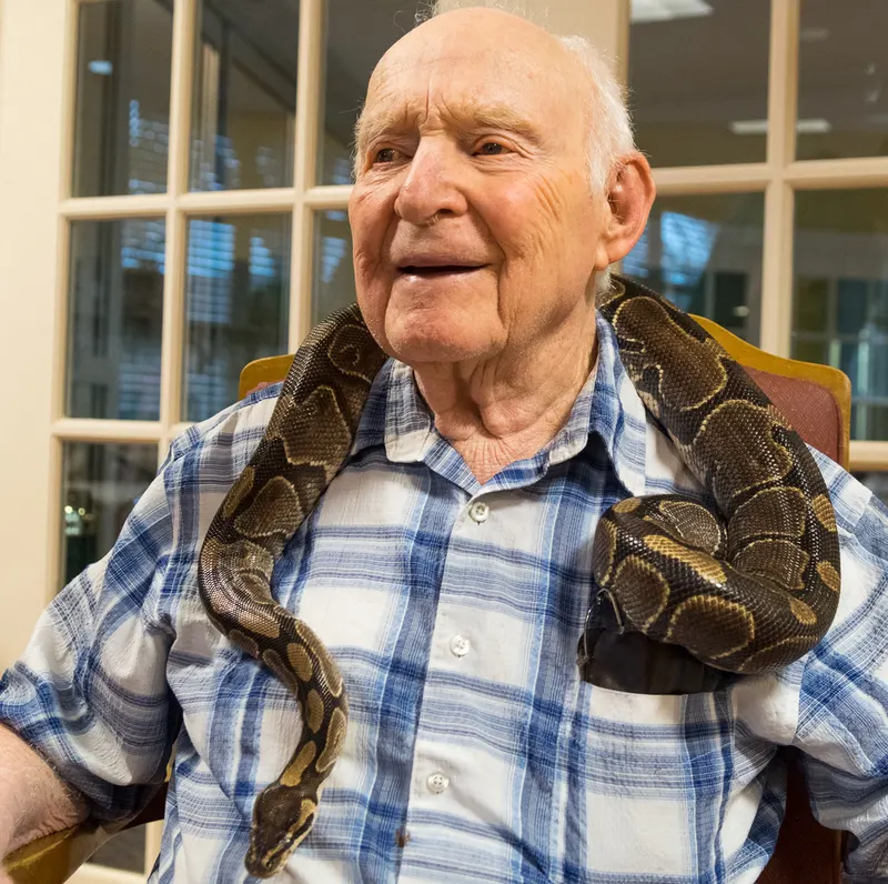 Duke the ball python draped over the shoulders of a smiling senior guest.