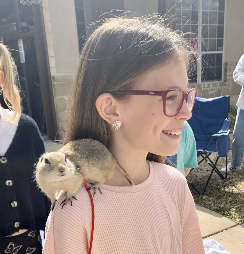 Bam Bam the Richardson's ground squirrel perched on a girl's shoulder.